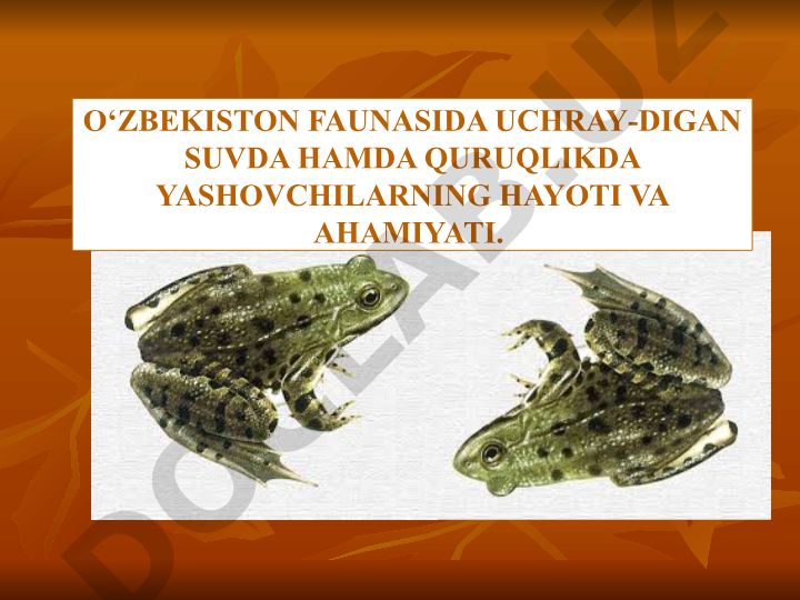 O‘zbekiston faunasida uchraydigan suvda hamda quruqlikda yashovchilar