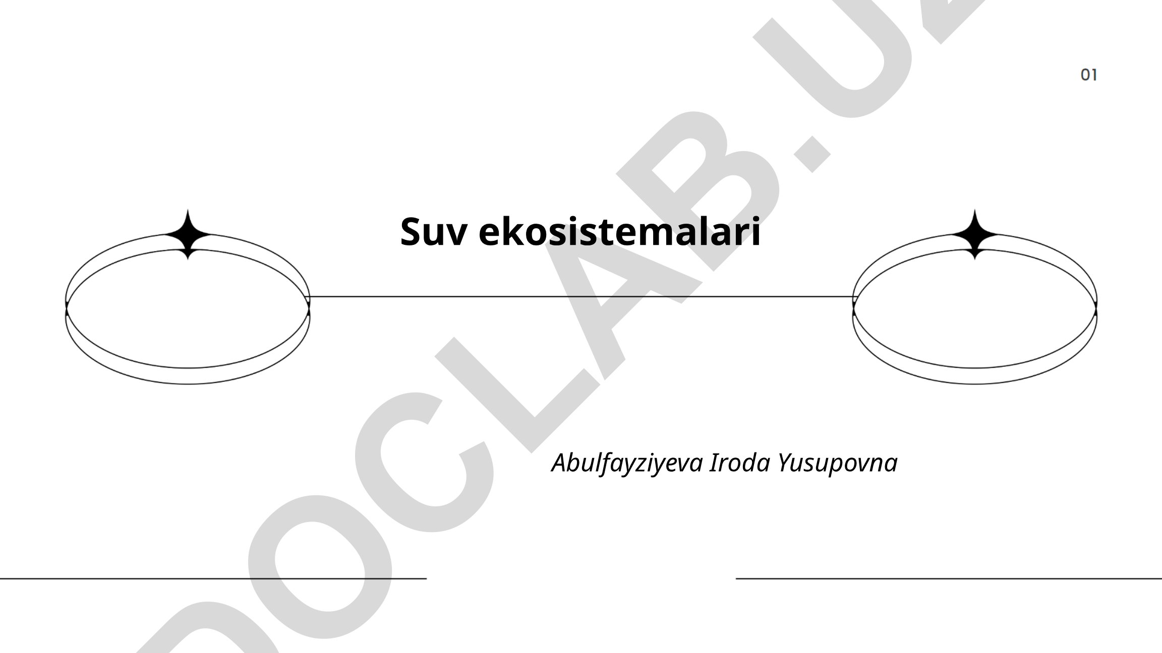 Suv ekosistemalari turlari va biologik xilma-xillik