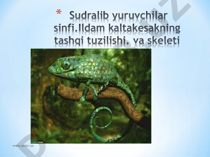 Sudralib yuruvchilar sinfi: tarqalishi va ahamiyati
