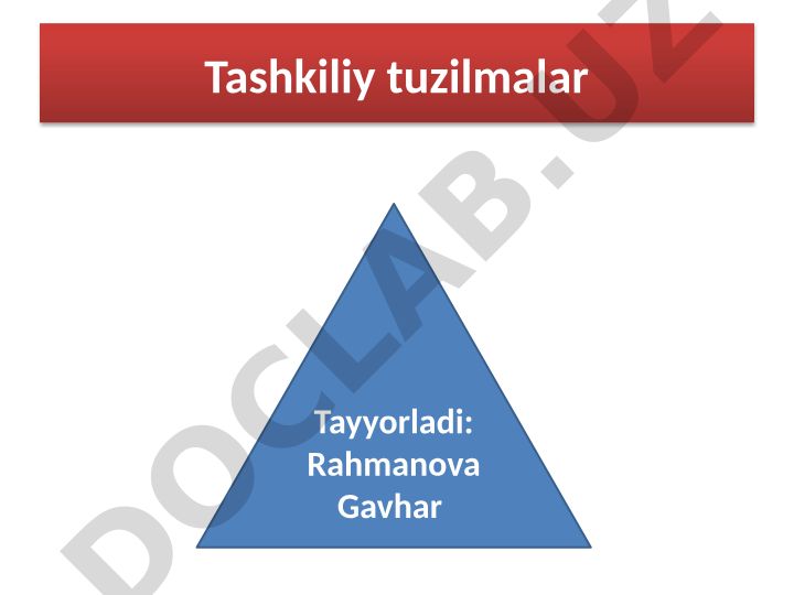 Tashkiliy tuzilmalar