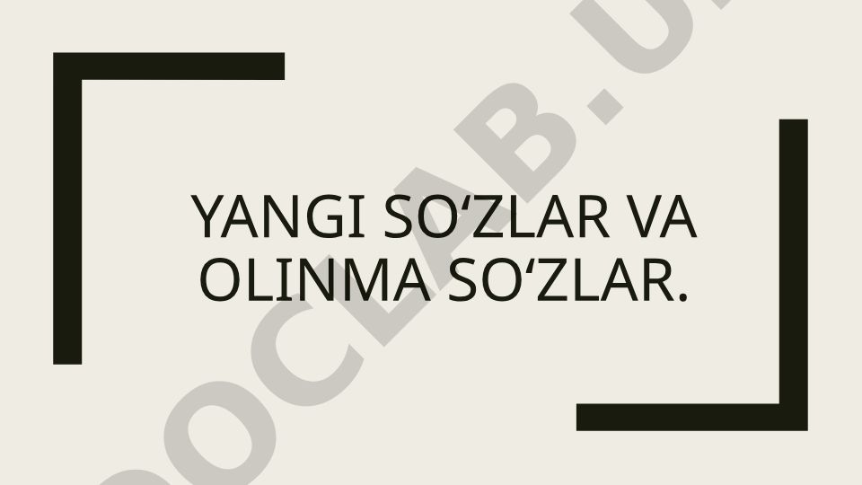 Yangi so'zlar va olinma so'zlar tushunchasi