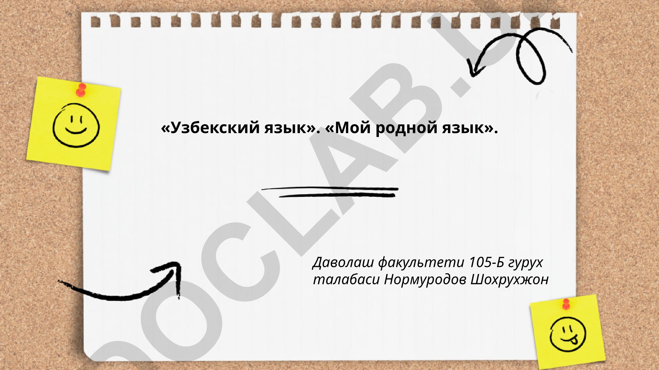 Узбекский язык: история, диалекты и алфавит