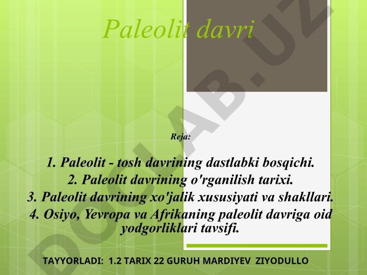 Paleolit davri - tosh davrining dastlabki bosqichi