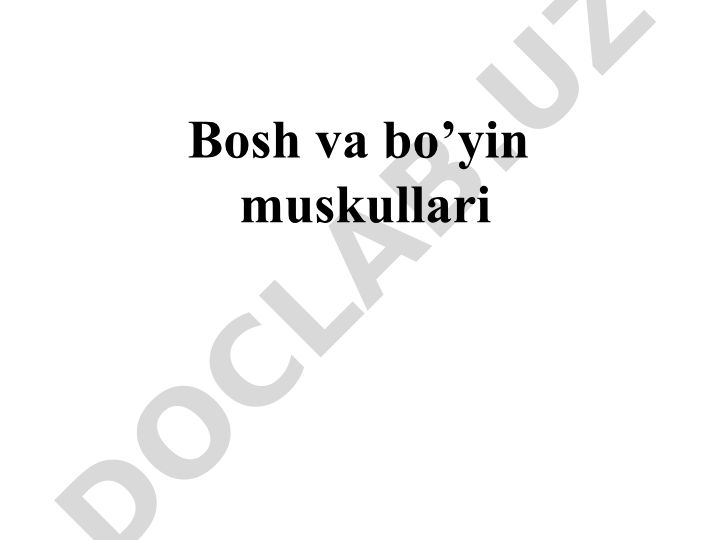 Bosh va bo'yin muskullari tuzilishi va funktsiyalari