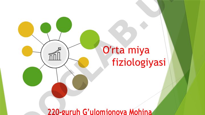 O'rta miya fiziologiyasi va anatomiyasi