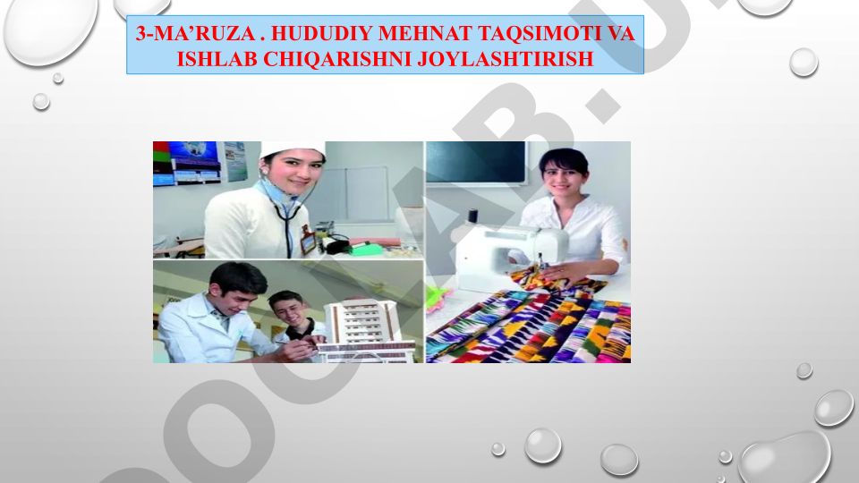 Hududiy mehnat taqsimoti va ishlab chiqarishni joylashtirish