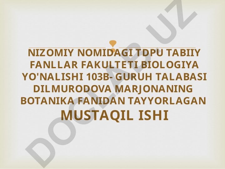 Novda va kustaklarning tuzilishi va turli tipdagi poyalarning morfologik tuzilishi