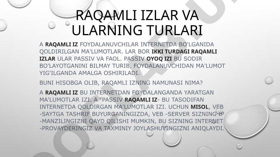 Raqamli izlar va ularning turlari