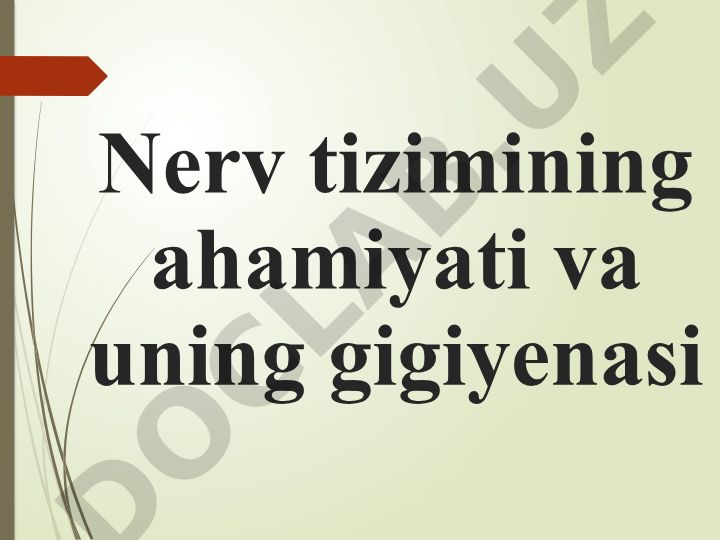Nerv tizimining ahamiyati va uning gigiyenasi