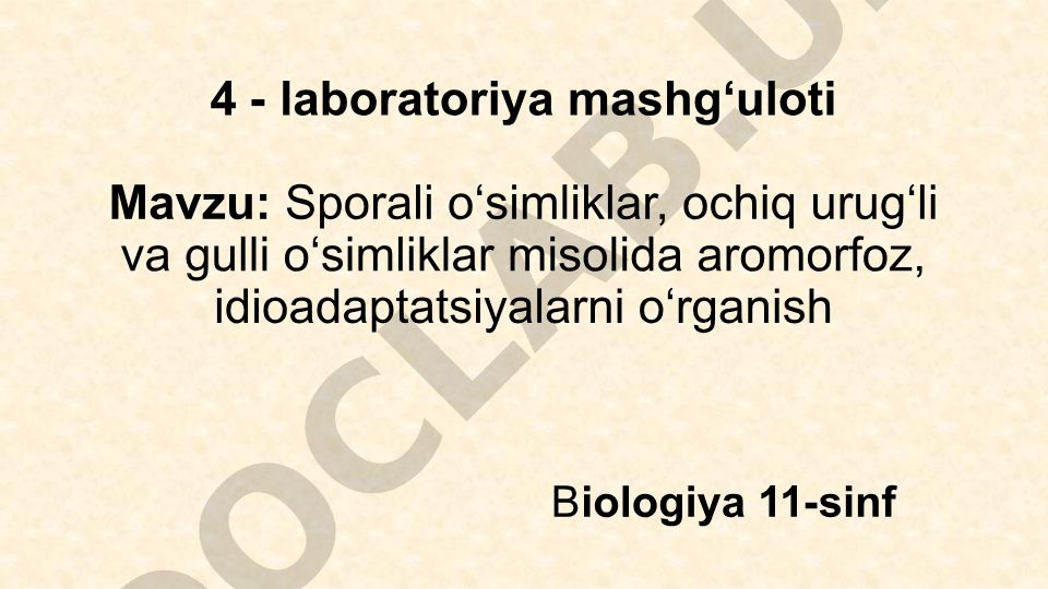 Sporali o‘simliklar, ochiq urug‘li va gulli o‘simliklar misolida aromorfoz, idioadaptatsiyalarni o‘rganish