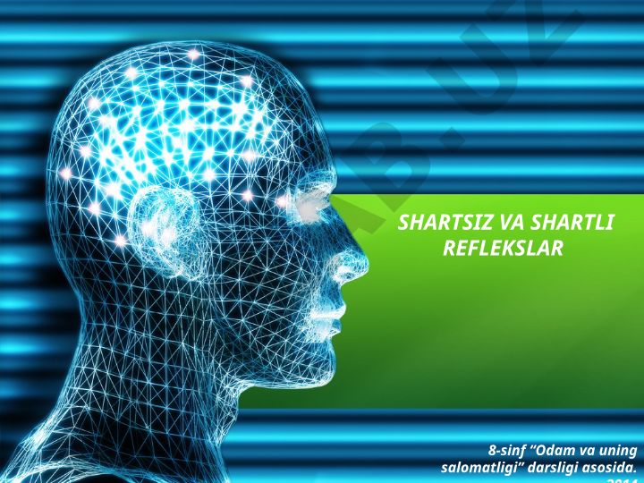Shartsiz va shartli reflekslar