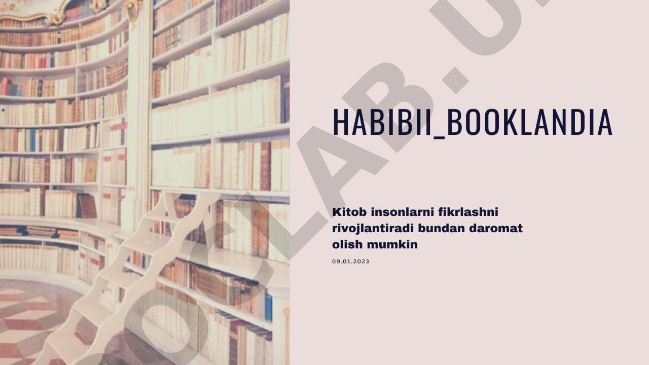 O'zbekiston Respublikasida davlat xizmatchilari faoliyatini tartibga solish