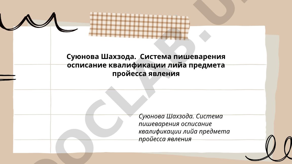 Анатомия и физиология пищеварительной системы человека