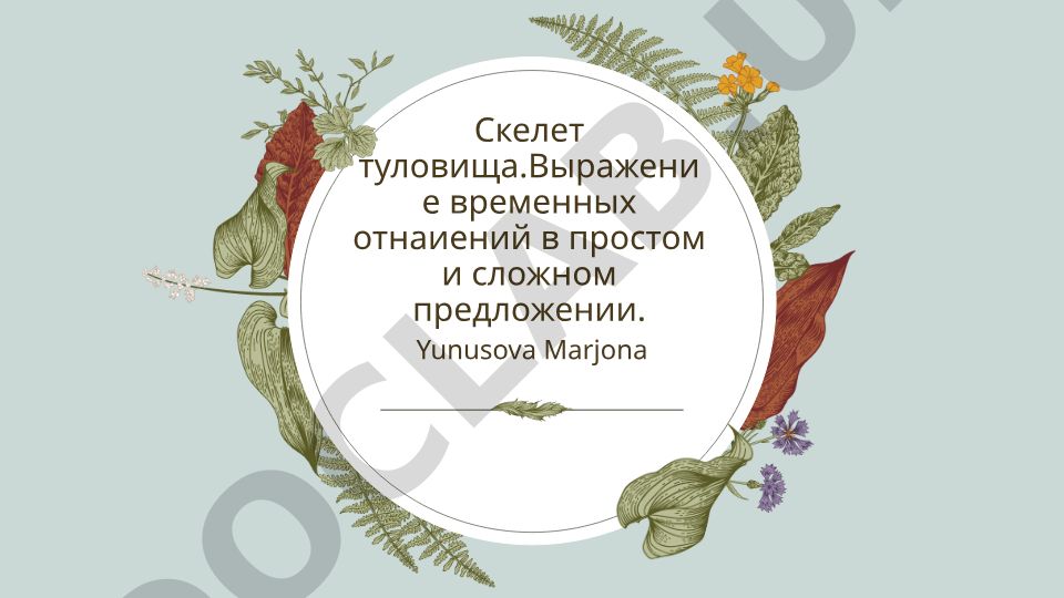 Скелет туловища и выражение временных отношений в предложениях