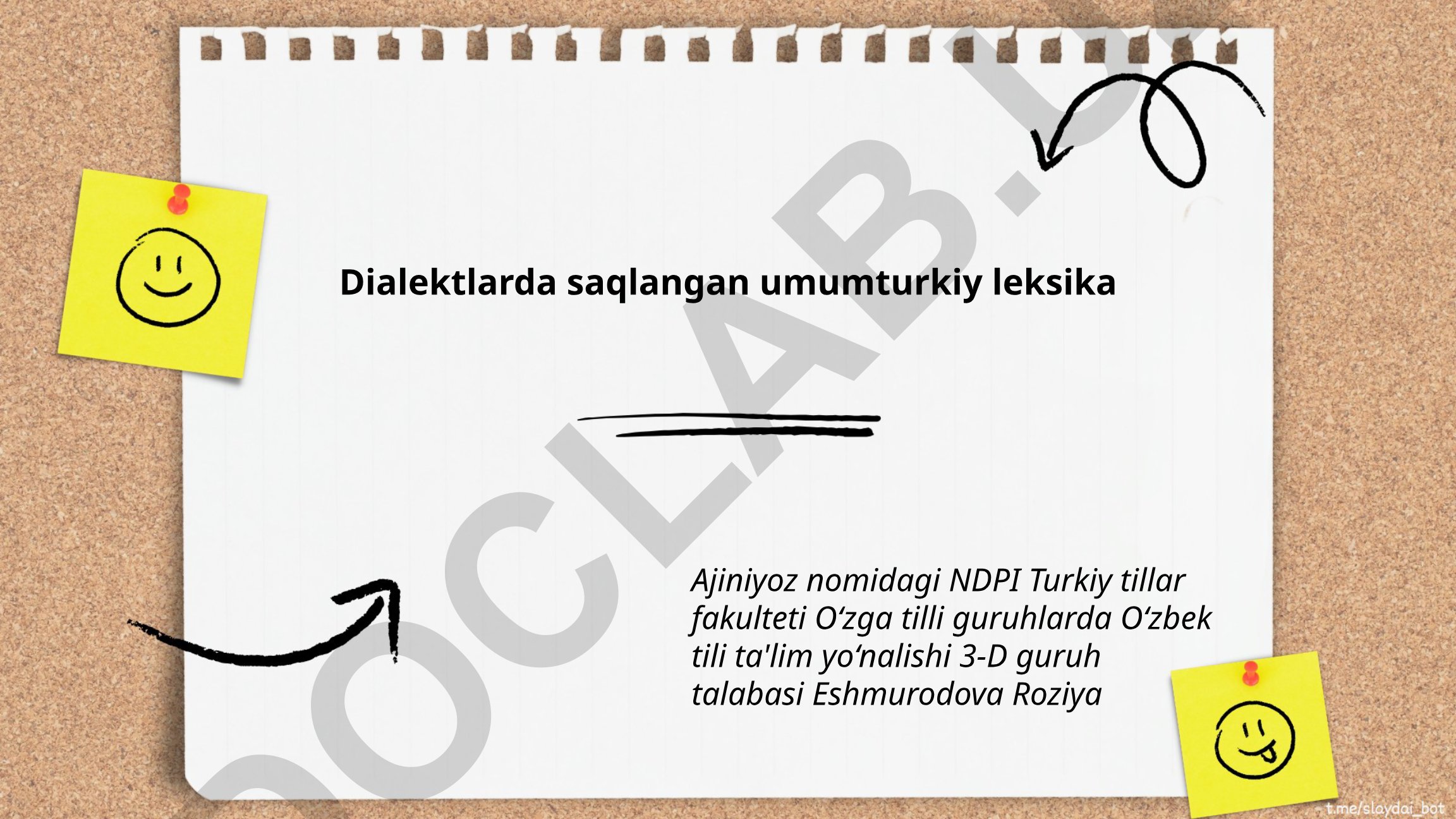 Dialektlarda saqlangan umumturkiy leksika