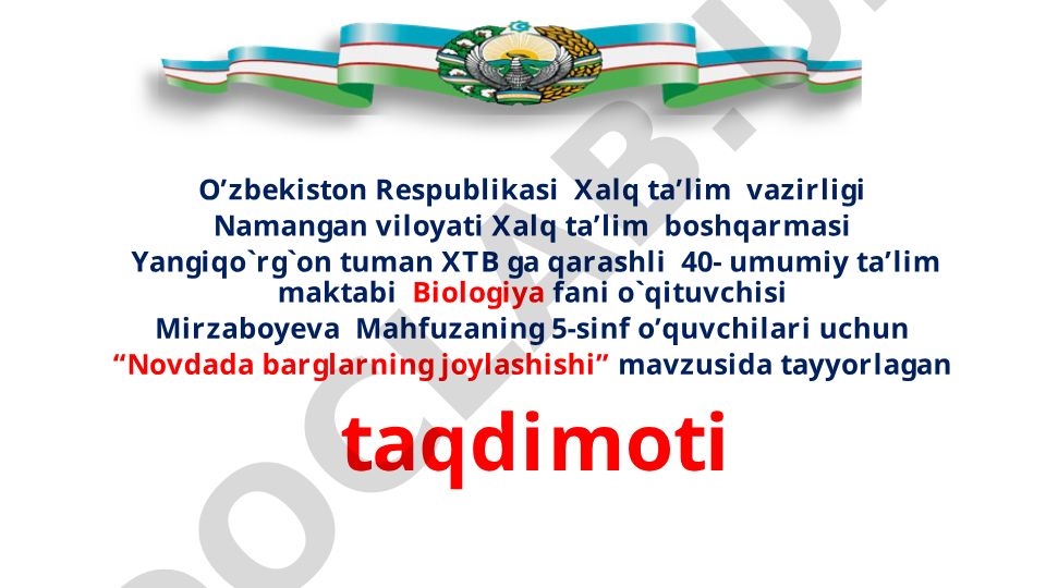 Novdada barglarning joylashishi