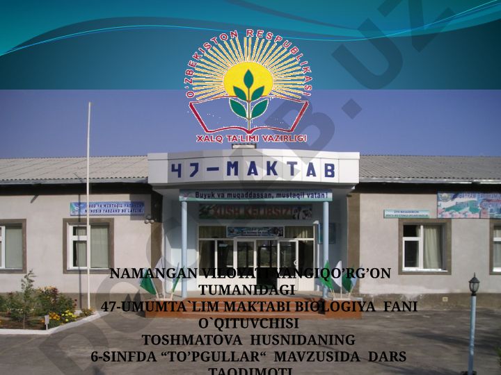 To'pgullar mavzusida biologiya darsi