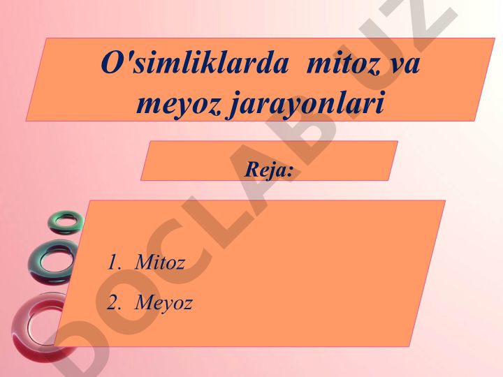 O'simliklarda mitoz va meyoz jarayonlari