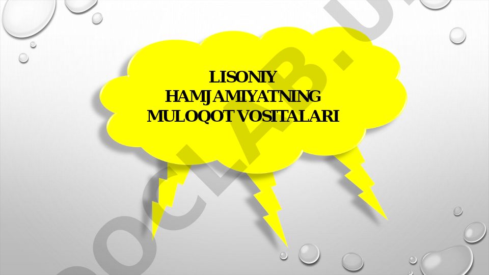 Lisoniy hamjamiyatning muloqot vositalari va til turlari