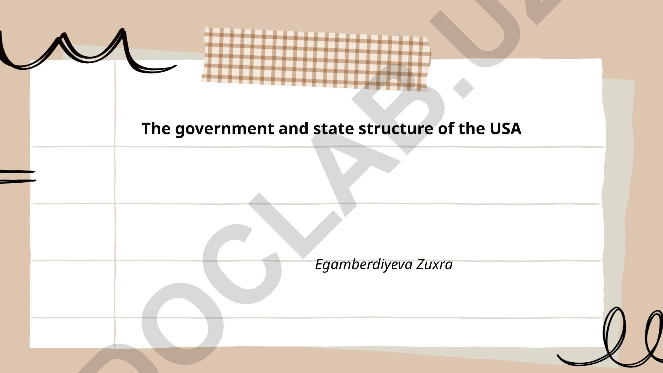 The government and state structure of the USA