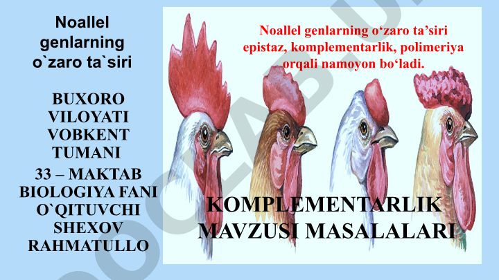 Noallel genlarning o'zaro ta'siri va komplementarlik