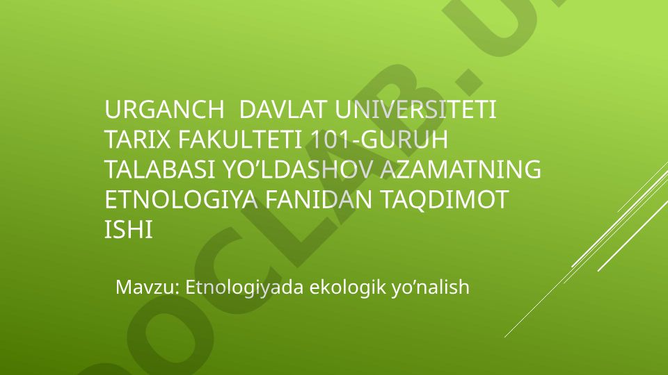 Etnologiyada ekologik yo'nalish