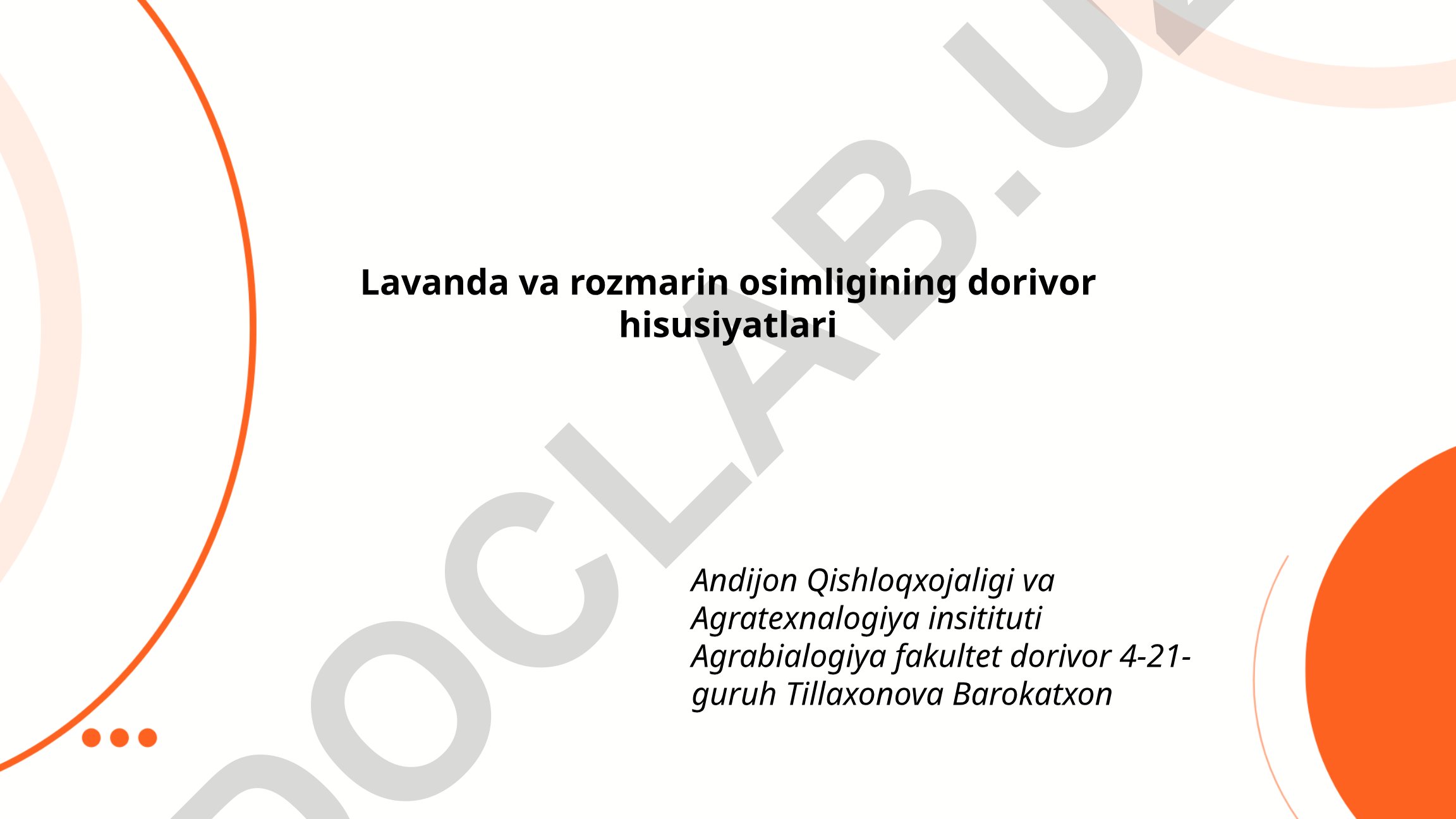 Lavanda va rozmarin o'simliklarining dorivor xususiyatlari