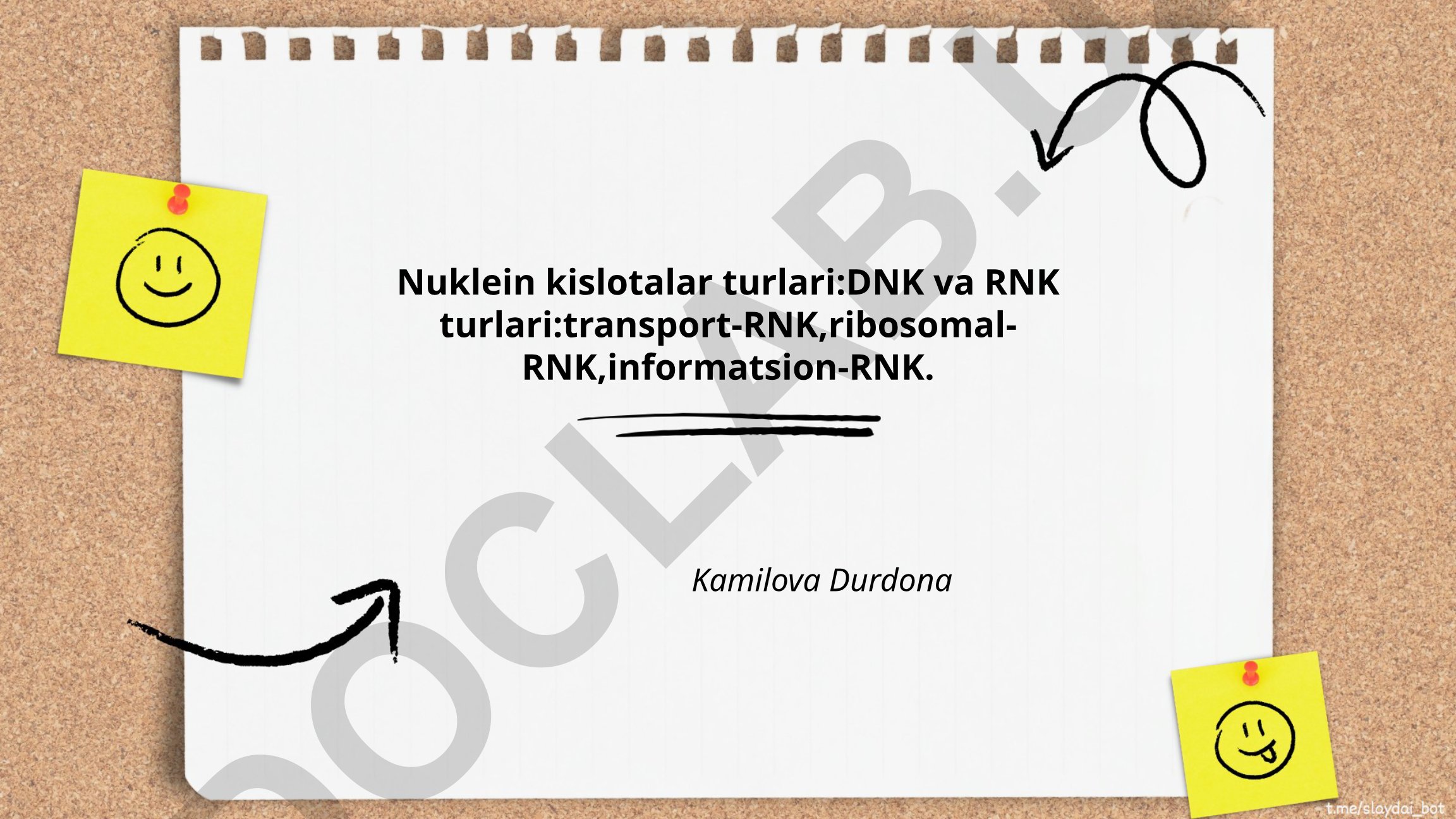 Nuklein kislotalar turlari: DNK va RNK turlari