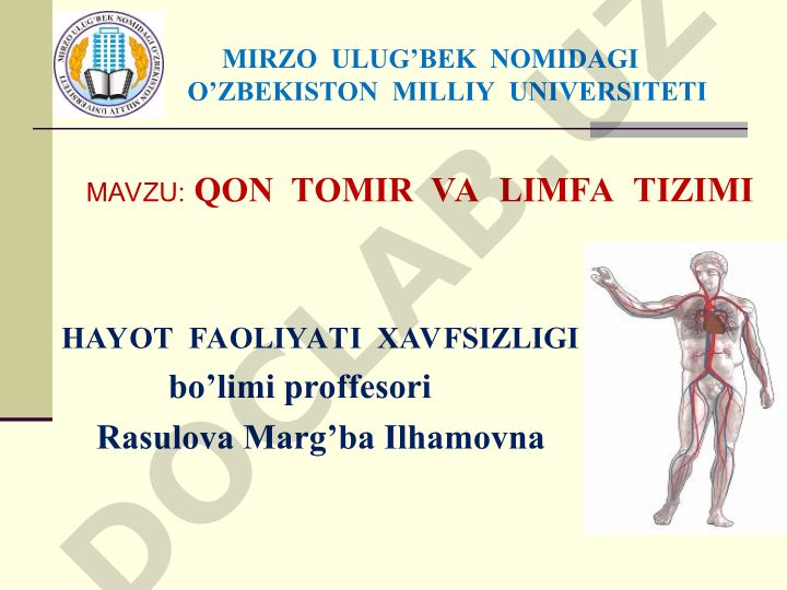 Qon tomir va limfa tizimi hayot faoliyati xavfsizligi
