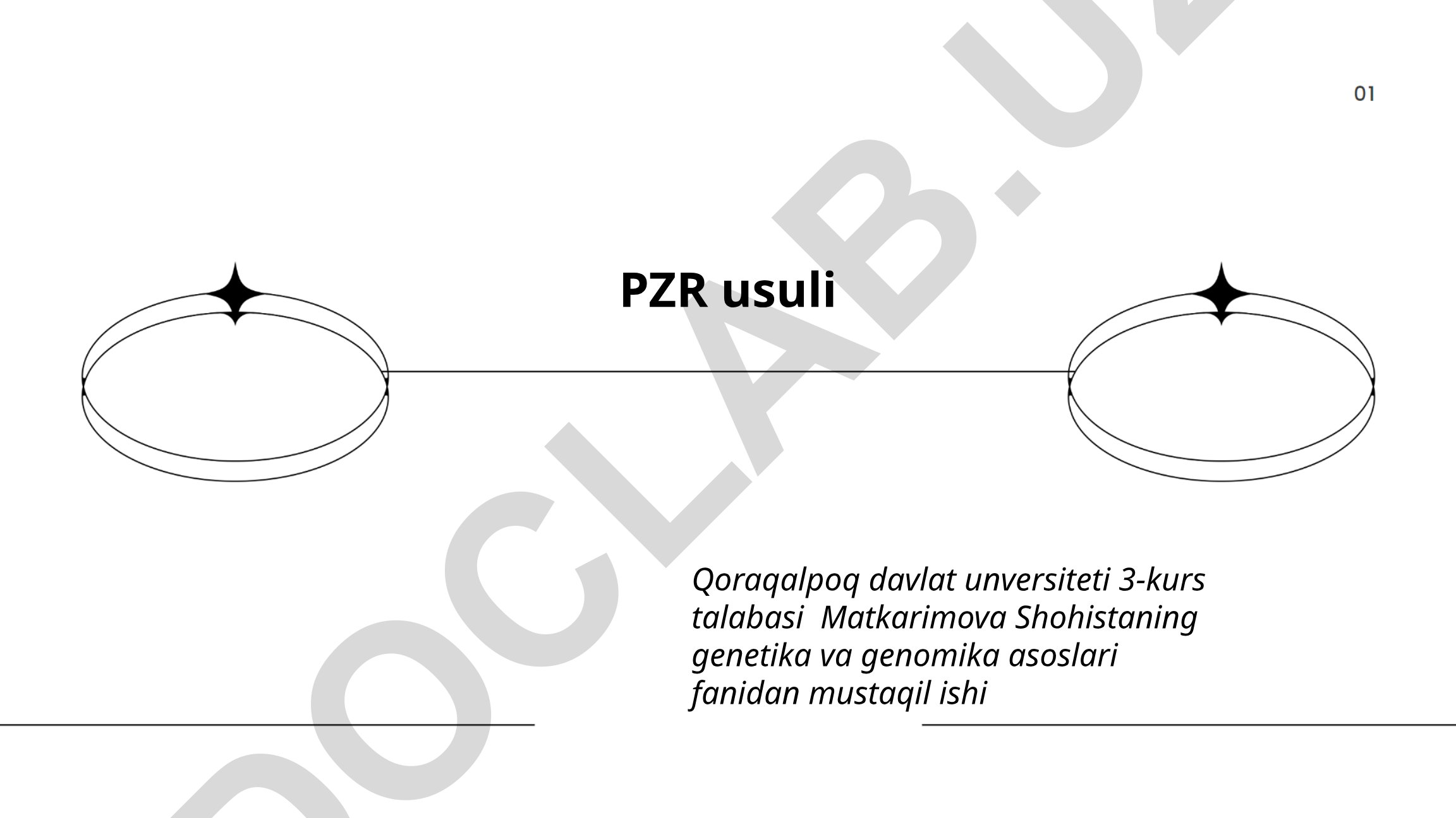 PZR usulining nazariy asoslari va amaliy jihatlari