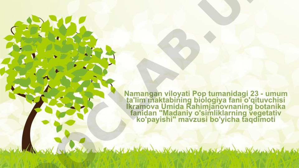Madaniy o'simliklarning vegetativ ko'payishi