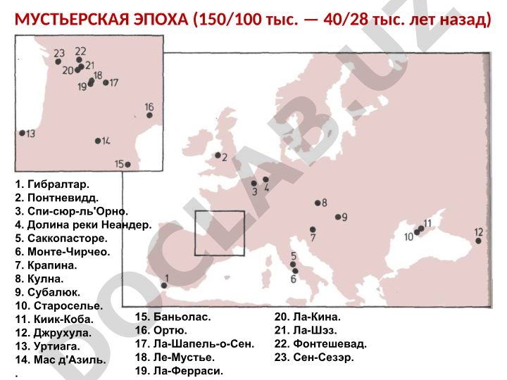 Мустьерская эпоха: археологические памятники и технология обработки камня