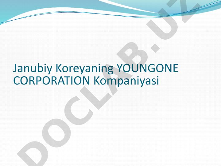 Youngone Corporation tarixi va faoliyati