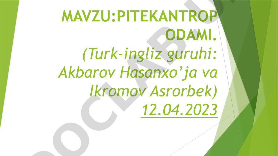 Pitekantrop odami: qadimgi odam ajdodlari va ularning antropologik ahamiyati