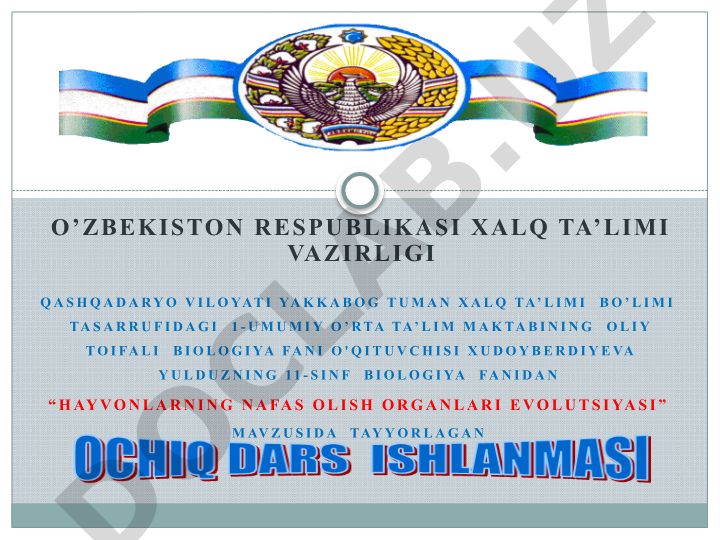 Hayvonlarning nafas olish organlari evolutsiyasi