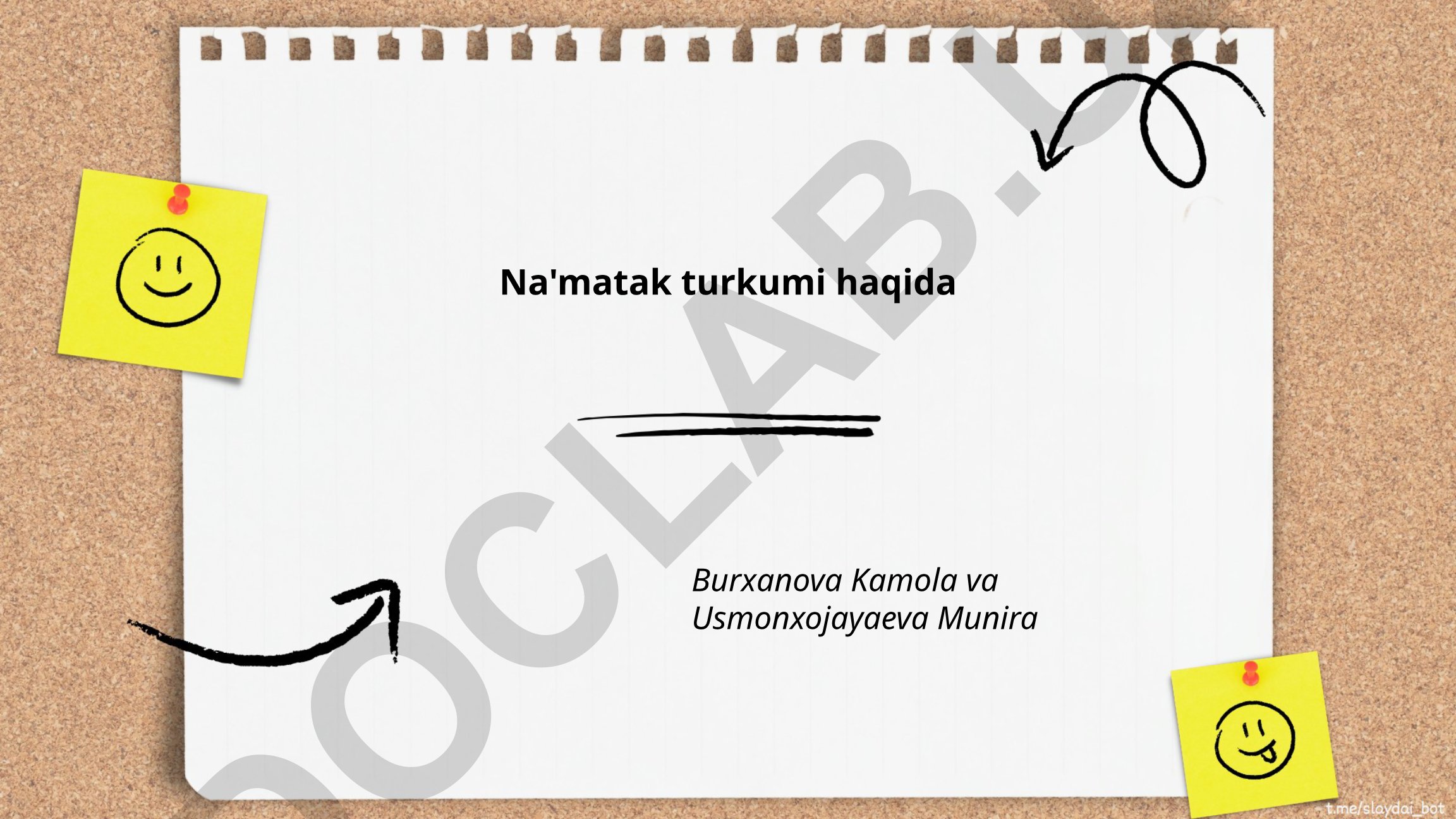 Na'matak turkumining biologik xususiyatlari, turlari va tarqalishi