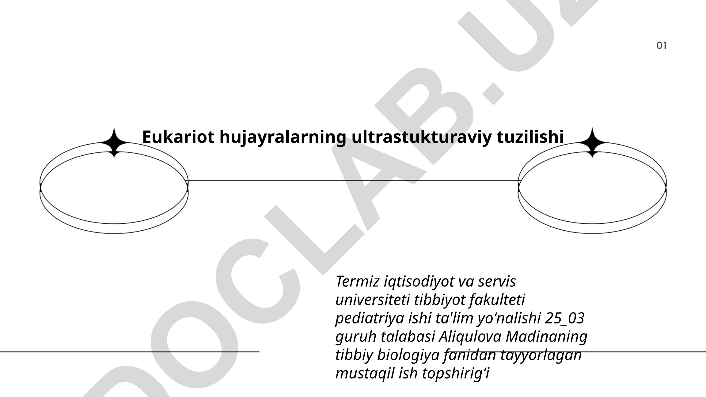 Eukariot hujayralarning ultrastukturaviy tuzilishi
