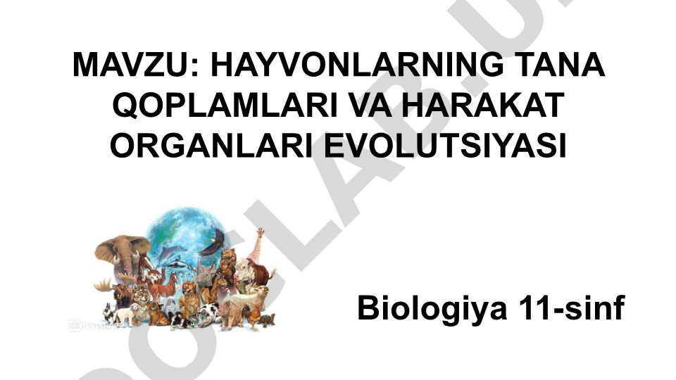 Hayvonlarning tana qoplamlari va harakat organlari evolyutsiyasi