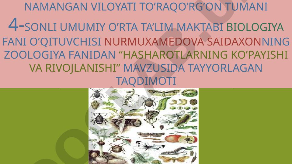 Hasharotlarning ko'payishi va rivojlanishi