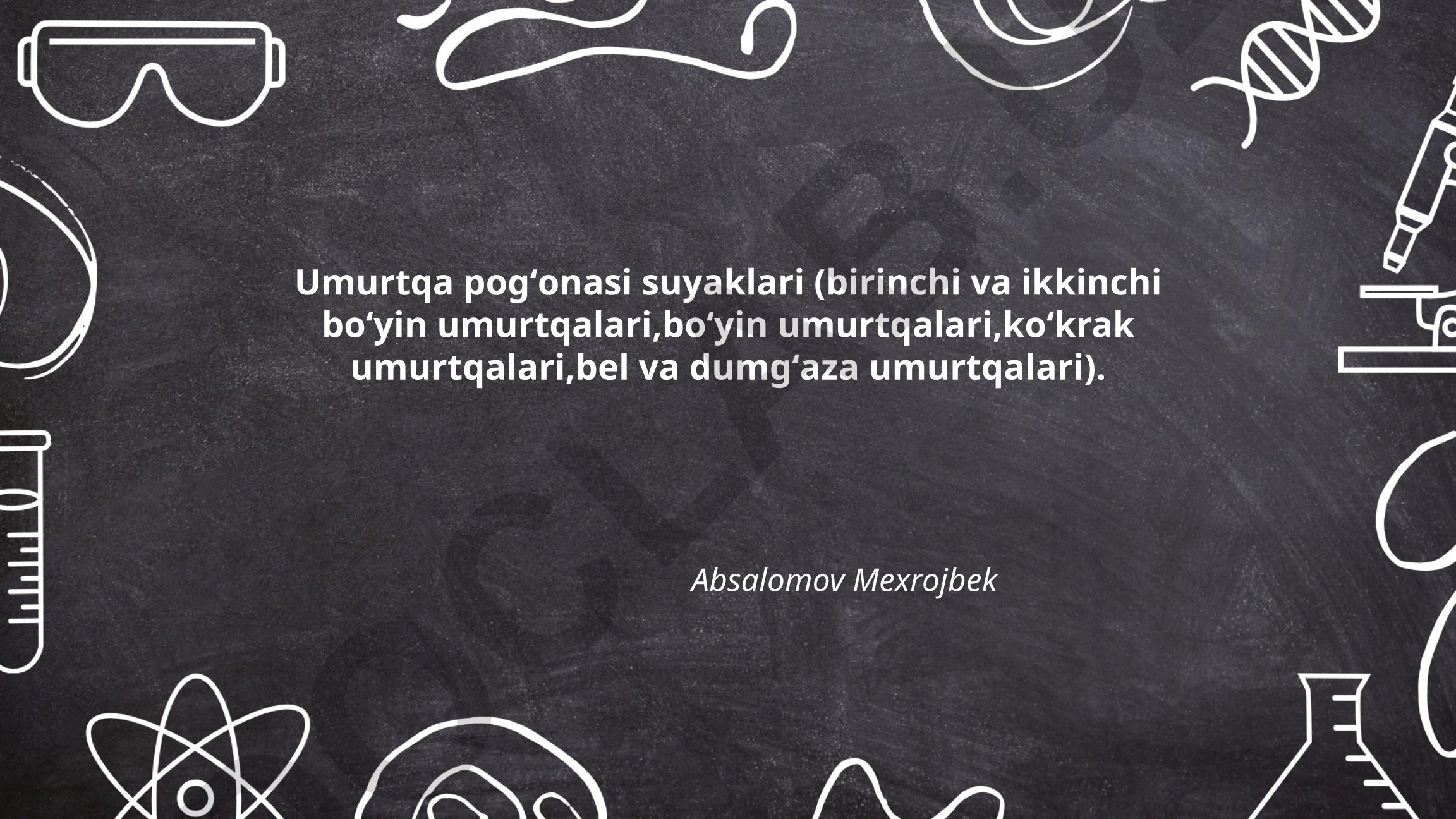 Umurtqa pogʻonasi suyaklarining anatomiyasi va tuzilishi