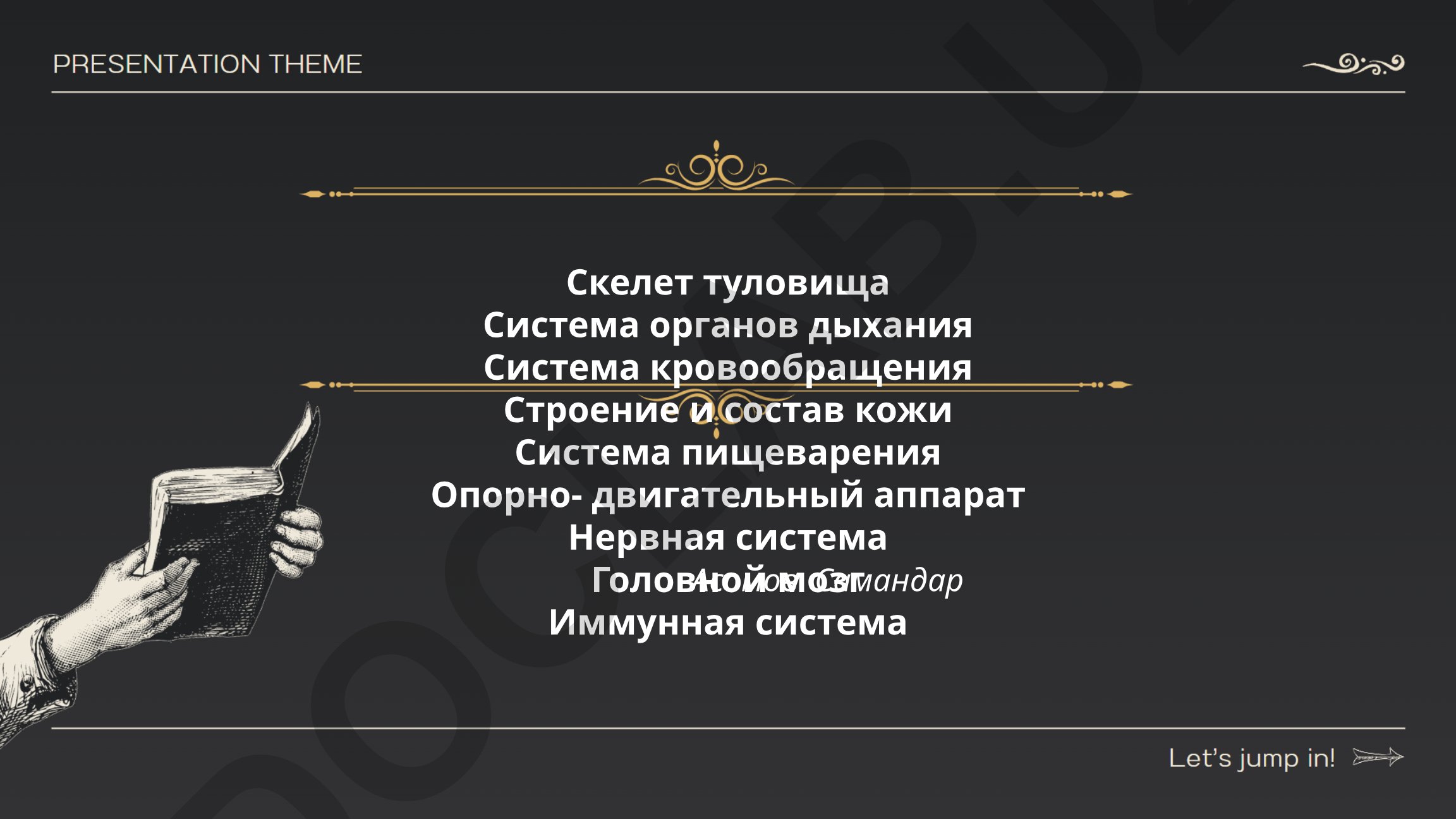 Анатомия позвоночника и строение грудной клетки