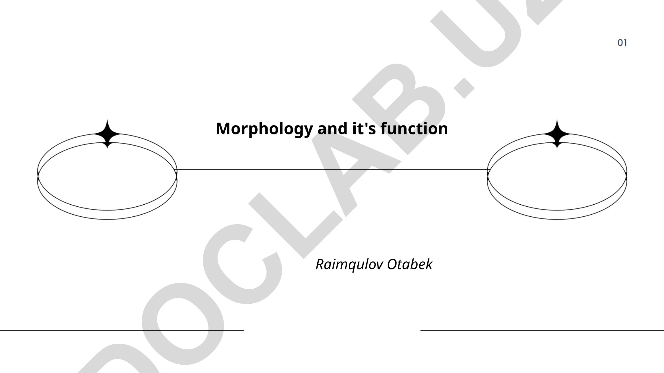 Morphology and its function in linguistics