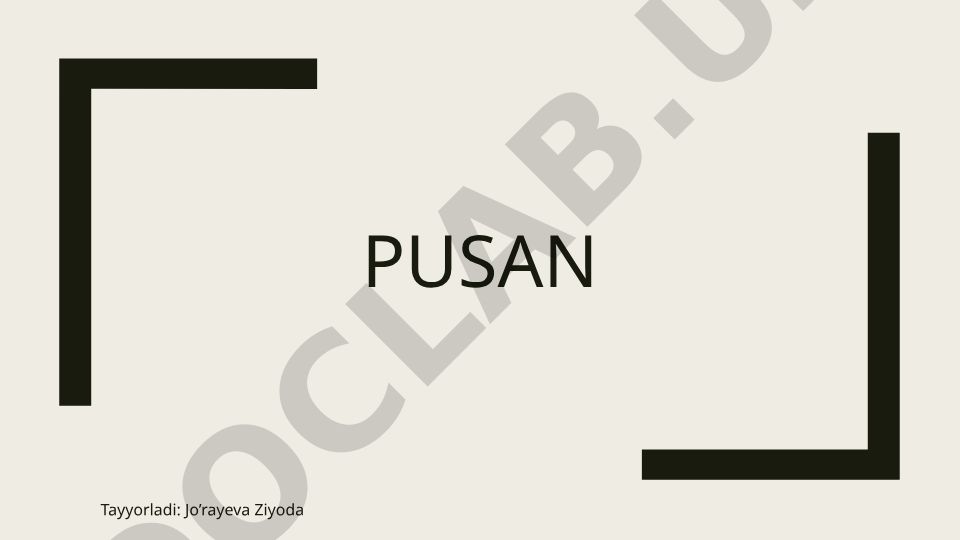 Pusan shahrining geografiyasi, tarixi va iqtisodiyoti