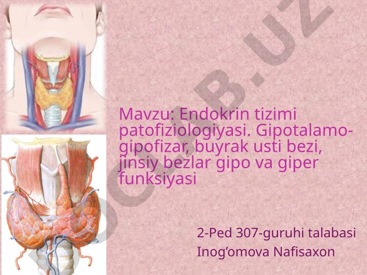 Endokrin tizimi patofiziologiyasi. Gipotalamo-gipofizar, buyrak usti bezi, jinsiy bezlar gipo va giper funksiyasi