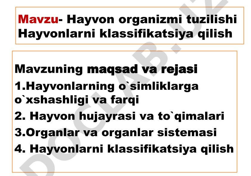 Hayvon organizmi tuzilishi va klassifikatsiyasi