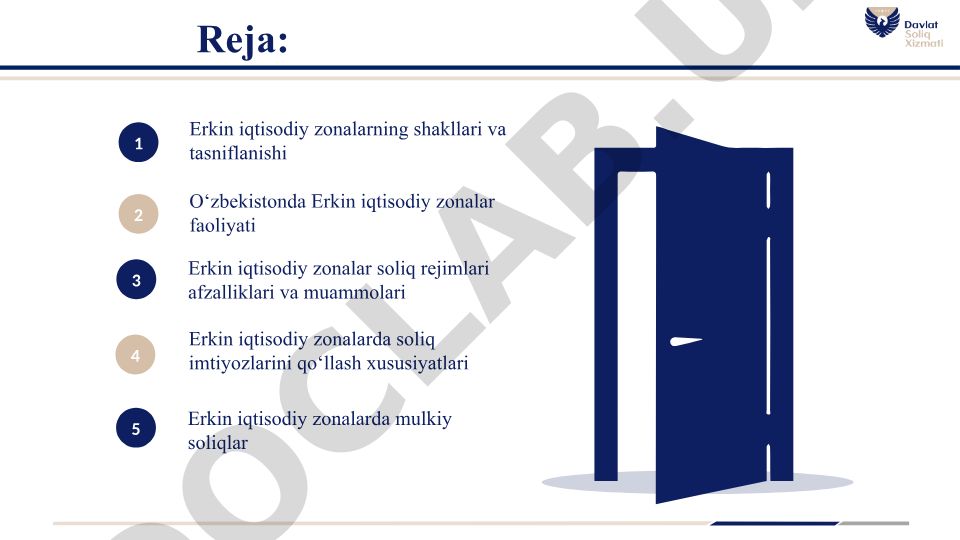 Erkin iqtisodiy zonalarning shakllari, tasniflanishi va soliq rejimlari
