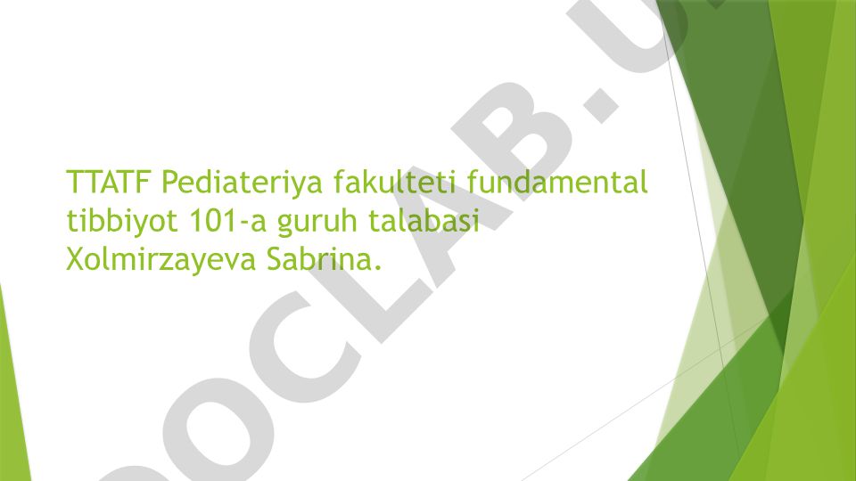 O‘zbek davlatchiligi tarixi: qadimgi davlatlar va ijtimoiy-iqtisodiy rivojlanish