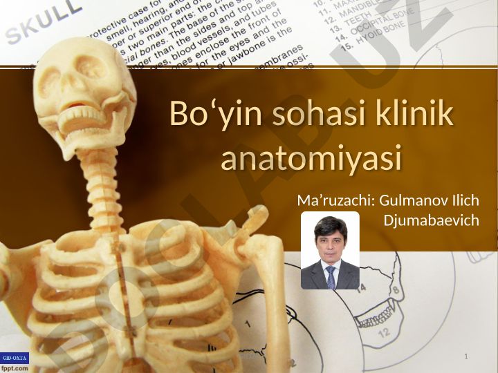 Boʻyin sohasi klinik anatomiyasi