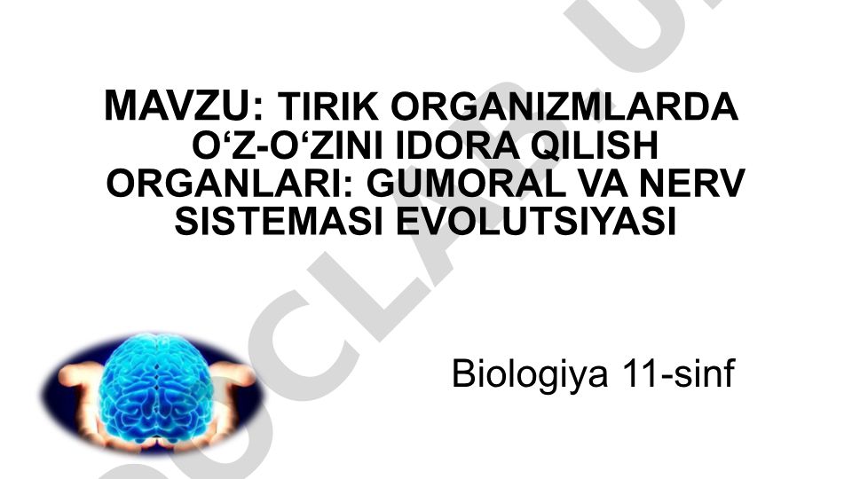 Tirik organizmlarda o‘z-o‘zini idora qilish organlari: gumoral va nerv sistemasi evolyutsiyasi