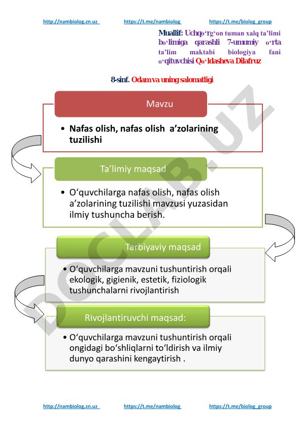 Nafas olish va nafas olish a'zolarining tuzilishi